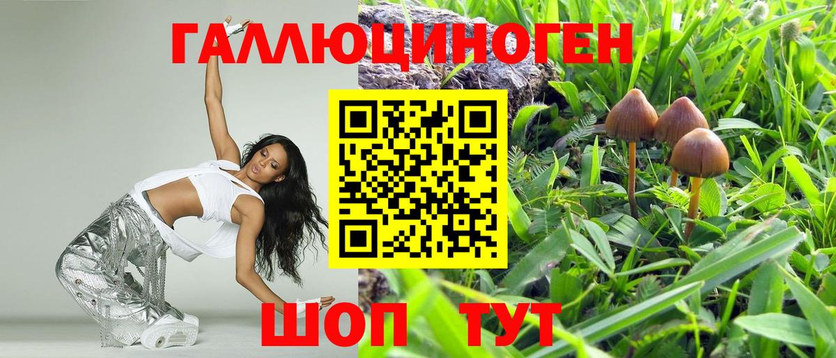 Новочебоксарск  даркнет сайт  Вход с VPN  Псилоцибиновые грибы MAGIC MUSHROOMS 